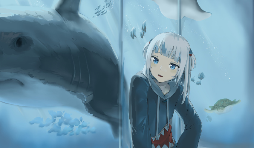 1girl absurdres aquarium bangs blue_eyes blue_hoodie blunt_bangs commentary fish gawr_gura glass hair_ornament highres hololive hololive_english hood hoodie kazakata looking_to_the_side open_mouth shark shark_girl sharp_teeth silver_hair smile teeth virtual_youtuber