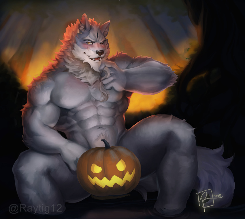 2020 5_fingers abs absurd_res anthro biceps biped black_nose canid canine canis detailed_background fingers food forest fruit fur grey_body grey_fur grey_tail halloween hi_res holidays humanoid_hands jack-o'-lantern law_(sdorica_sunset) male mammal multicolored_body multicolored_fur muscular muscular_anthro muscular_male navel night nude one_eye_closed outside pecs plant pubes pumpkin raytig12 sdorica sdorica_sunset signature solo spread_legs spreading tree two_tone_body two_tone_fur white_body white_fur wolf yellow_eyes