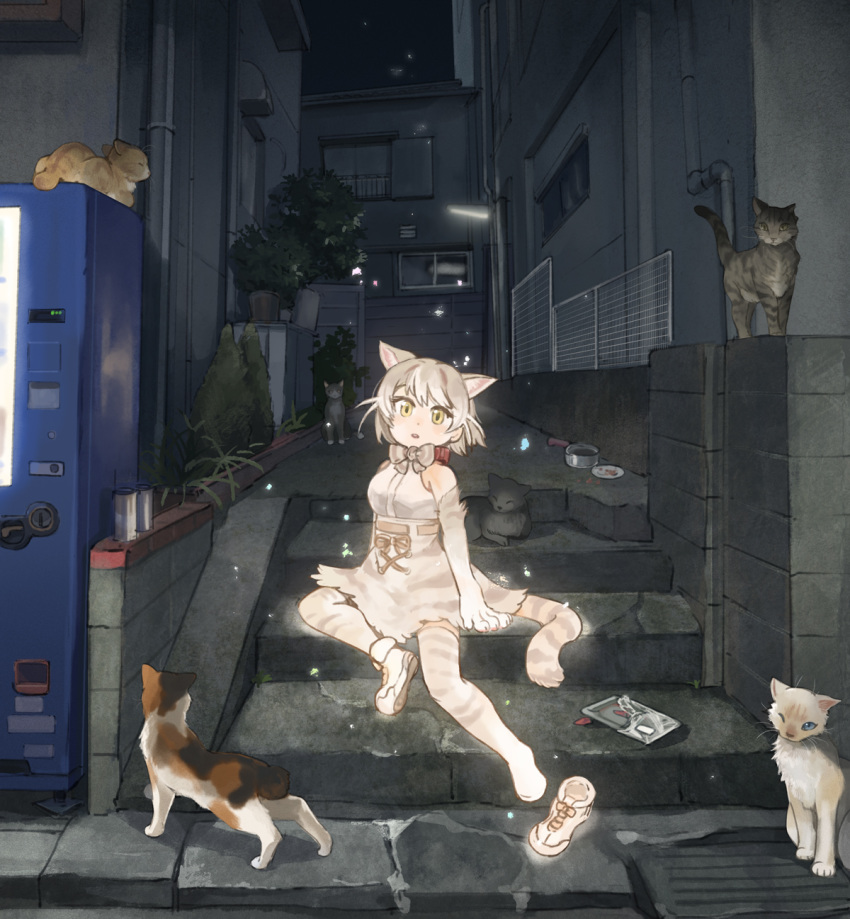 1girl alley animal animal_ear_fluff animal_ears arm_support bangs bare_shoulders bow bowtie building bush calico cat cat_(kemono_friends) cat_ears cat_food cat_girl cat_tail collar creature_and_personification dish dot_nose elbow_gloves expressionless extra_ears food footwear_removed gloves glowing head_tilt high-waist_skirt highres kemono_friends light light_particles looking_at_viewer night outdoors parted_lips paws pipes plant pot print_bow print_gloves print_legwear print_neckwear print_skirt sakata_kaname shoe_soles shoes short_hair single_shoe sitting skirt sleeveless solo stairs striped_tail tail thighhighs two-tone_gloves vending_machine white_footwear yellow_eyes zettai_ryouiki