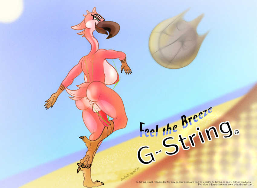advertisement anthro anus avian ball balls beach beach_ball bikini bird breasts claws clothing dododragon56 english_text feathers flamingo g-string genitals herm hi_res intersex looking_aside mostly_nude net nipples nude penis pussy sand sea seaside sky small_clothing solo sun swimwear talons text underwear url water