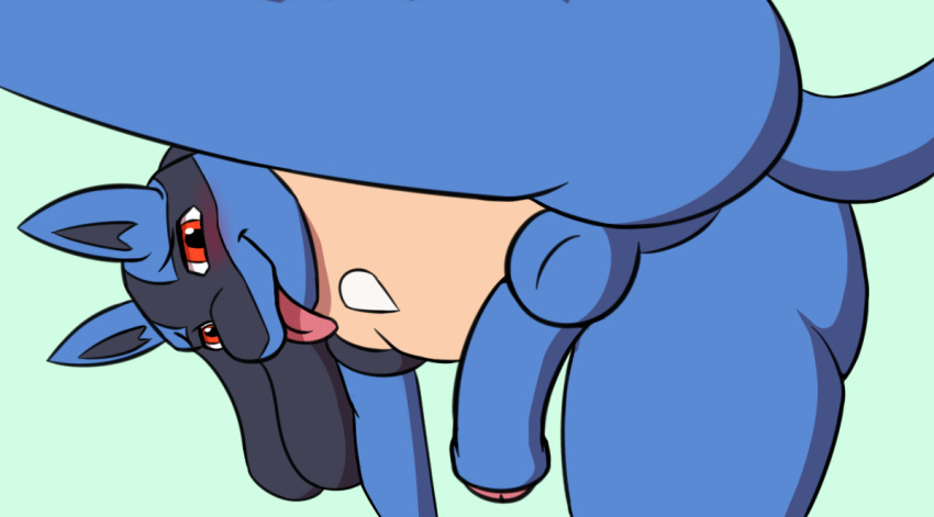 2020 anthro backsack balls blue_body blue_fur blush butt dabelette flaccid foreskin fur genitals green_background humanoid_genitalia humanoid_penis leaning looking_at_viewer lucario male multicolored_body multicolored_fur nintendo nude penis perineum pok&eacute;mon pok&eacute;mon_(species) raised_leg rear_view red_eyes simple_background smile solo tan_body tan_fur tongue tongue_out two_tone_body two_tone_fur uncut video_games