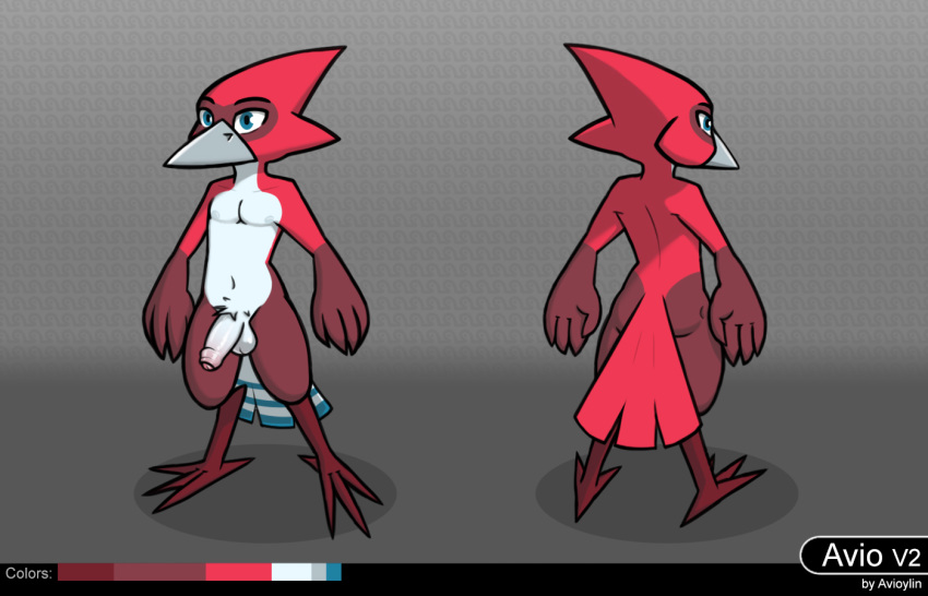 anthro avian avio avioylin balls beak bird digitigrade feathers foreskin front_view genitals humanoid_genitalia humanoid_penis male model_sheet nipples nude penis rear_view redesign reference_image simple_background solo standing tail_feathers uncut