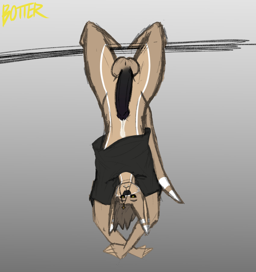 anthro balls big_balls big_ears big_penis black_clothing black_penis black_sclera black_shirt black_topwear botter botter_dork bottomless bottomless_male brown_hair clothed clothing colored_sketch cross erection fangs fur genitals hair hanging_by_legs hi_res humanoid_genitalia humanoid_penis long_tail looking_at_viewer male multicolored_body multicolored_fur penis pupils purple_penis rio_(botter_dork) shirt simple_background sketch solo thick_tail topwear topwear_only two_tone_body two_tone_fur upside_down yellow_pupils