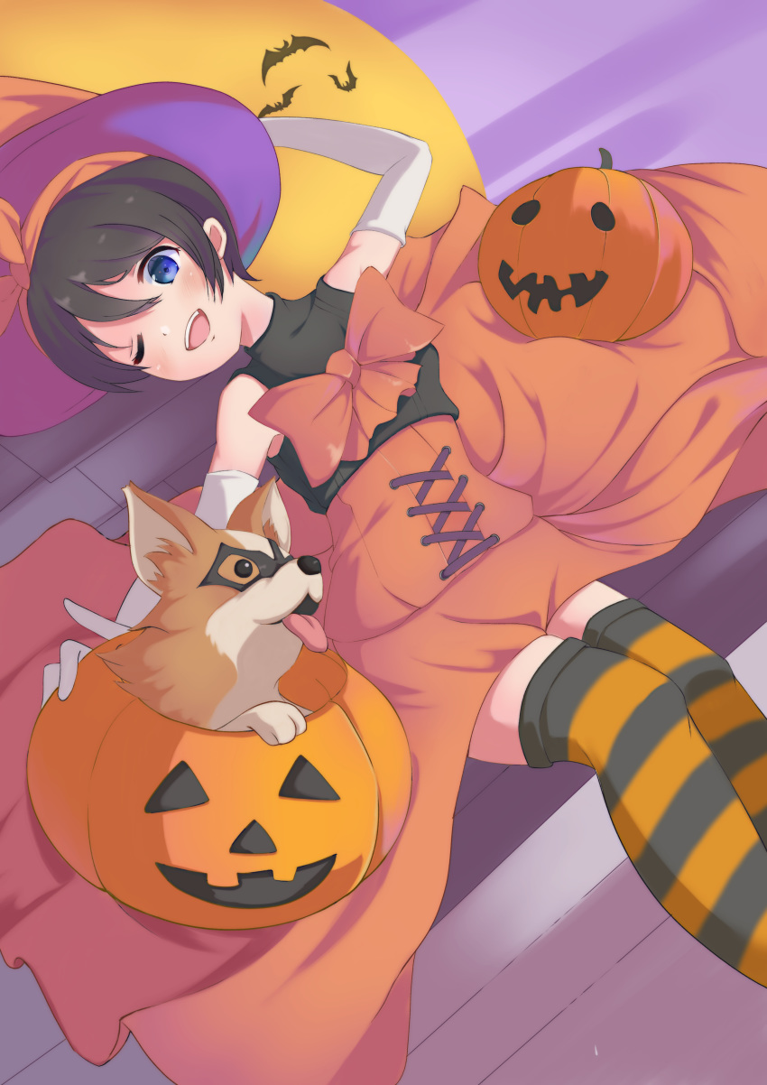 1girl :d absurdres animal bat black_hair blue_eyes chihuahua chikuwa_(yurucamp) dog domino_mask elbow_gloves file112056 gloves halloween hat highres jack-o'-lantern lying mask on_back one_eye_closed open_mouth pumpkin saitou_ena short_hair sleeveless smile striped striped_legwear thighhighs white_gloves witch_hat yurucamp zettai_ryouiki