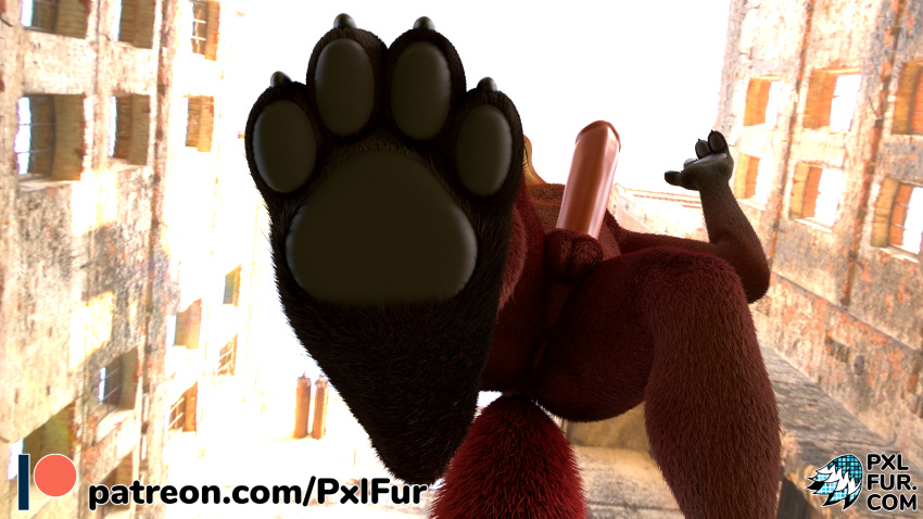 16:9 2020 3d_(artwork) anthro anus balls biped canid canine detailed_background digital_media_(artwork) fingers foot_focus fox fur genitals hi_res male mammal nude orange_body orange_fur outside pawpads paws penile penis pink_penis pxlfur solo text url watermark widescreen