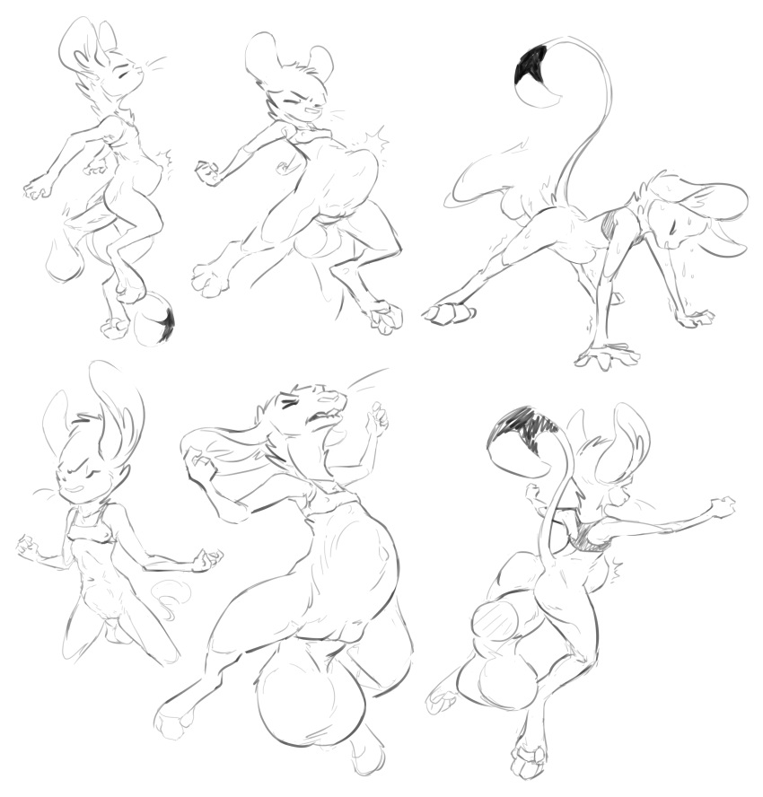abdominal_bulge absurd_res animancer dipodid female hi_res jerboa luck male male/female mammal monochrome rodent size_difference stretching stuffing