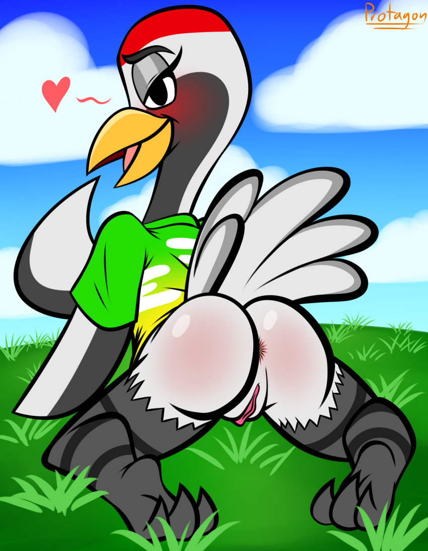 &lt;3 2020 all_fours animal_crossing anthro anus avian bird bottomless butt clothed clothing crane_(bird) female genitals gladys_(animal_crossing) green_clothing green_shirt green_topwear gruiform grus_(genus) hi_res looking_at_viewer looking_back looking_back_at_viewer nintendo outside presenting presenting_anus presenting_hindquarters presenting_pussy protagon pussy rear_view red-crowned_crane shirt solo t-shirt topwear video_games