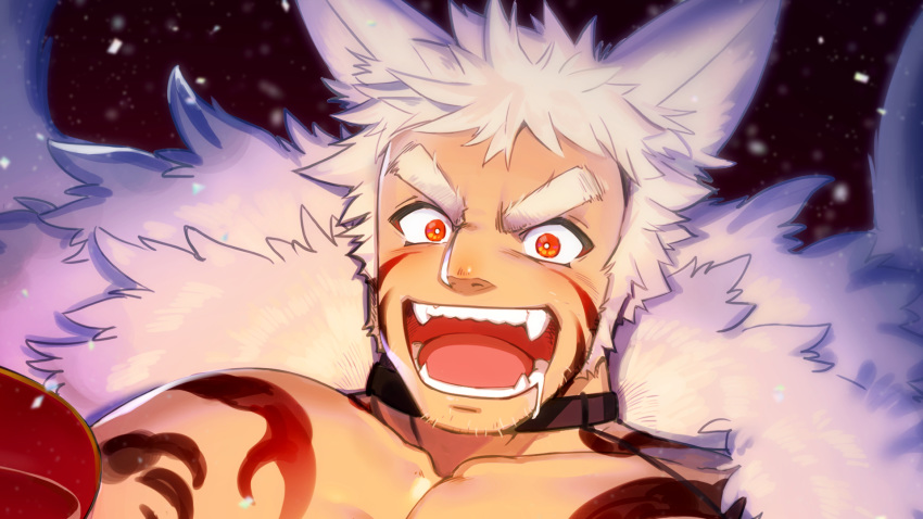 1boy animal_ear_fluff animal_ears bara chest chest_tattoo close-up cup face facial_hair fang fox_boy fox_ears highres long_hair male_focus muscle orange_eyes original sakazuki saliva saliva_trail sideburns solo stubble tail tattoo thick_eyebrows tongue waku_(ayamix) white_hair