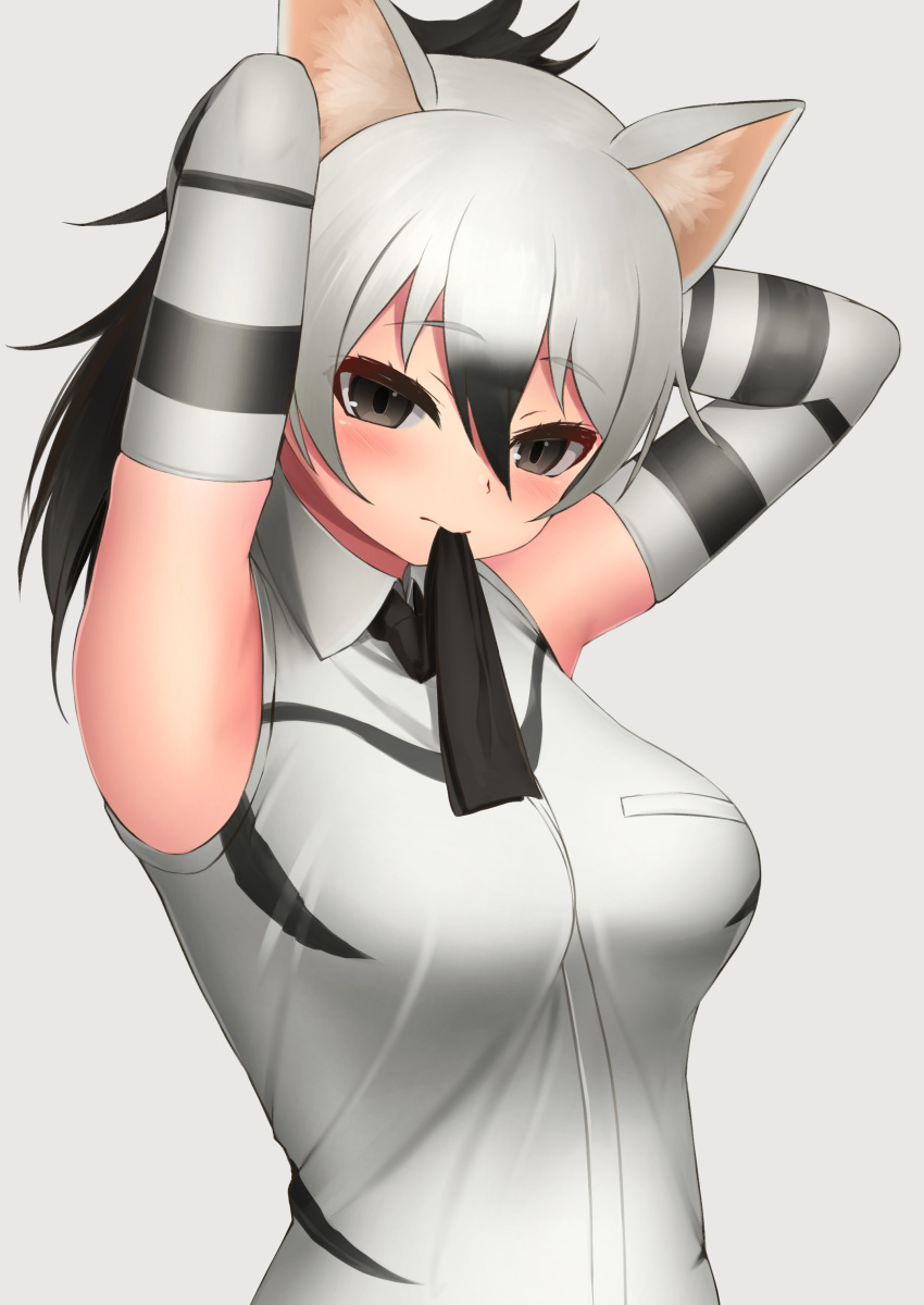 1girl aardwolf_(kemono_friends) aardwolf_ears absurdres animal_ear_fluff animal_ears arms_up bangs black_eyes black_hair black_neckwear blush breasts commentary deku_suke elbow_gloves eyebrows_visible_through_hair gloves grey_background hair_between_eyes highres kemono_friends long_hair looking_at_viewer medium_breasts multicolored_hair necktie necktie_in_mouth ponytail shirt simple_background sleeveless sleeveless_shirt solo symbol_commentary two-tone_hair tying_hair upper_body white_hair