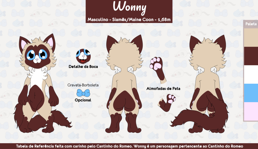 anthro big_eyes character_name coelhoposa_(artist) domestic_cat felid feline felis fluffy fluffy_tail front_view hi_res hybrid maine_coon male mammal model_sheet multiple_poses portuguese_text pose rear_view siamese solo species_name text wonny_(coelhoposa)