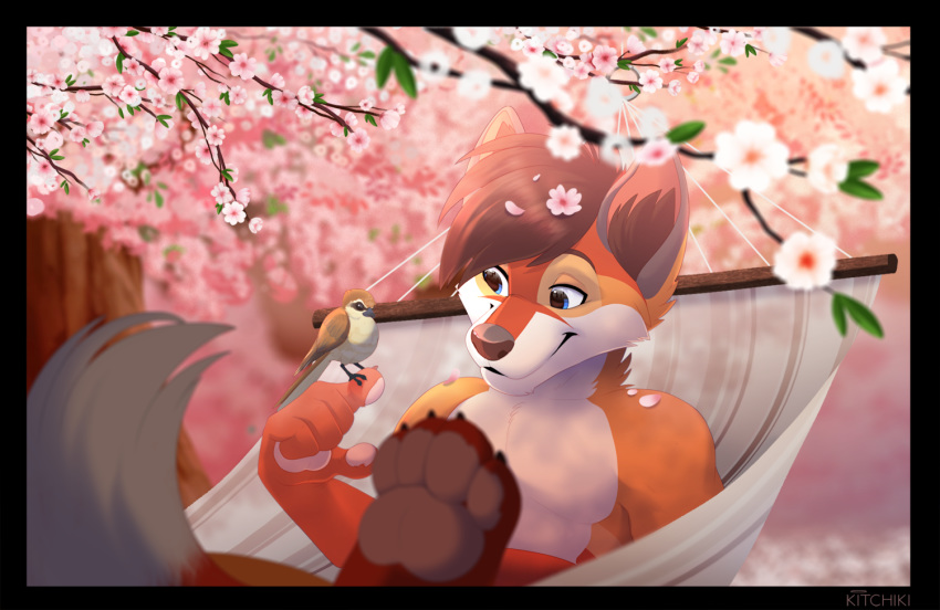 ambiguous_gender anthro avian bird canid canine cherry_blossom duo feral feroxdoon flower fox hammock kitchiki male mammal nature pawpads paws peaceful plant red_fox smile