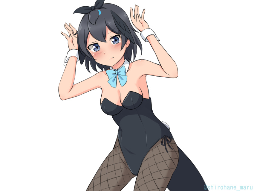 1girl absurdres arms_up bangs bare_arms bare_shoulders bird_tail black_hair blue_bow blue_eyes blue_neckwear blush bow bowtie breasts bunny_pose bunny_tail detached_collar fishnets greater_lophorina_(kemono_friends) hair_between_eyes head_wings highres kemono_friends medium_breasts pantyhose playboy_bunny shiraha_maru short_hair simple_background solo tail twitter_username white_background wrist_cuffs