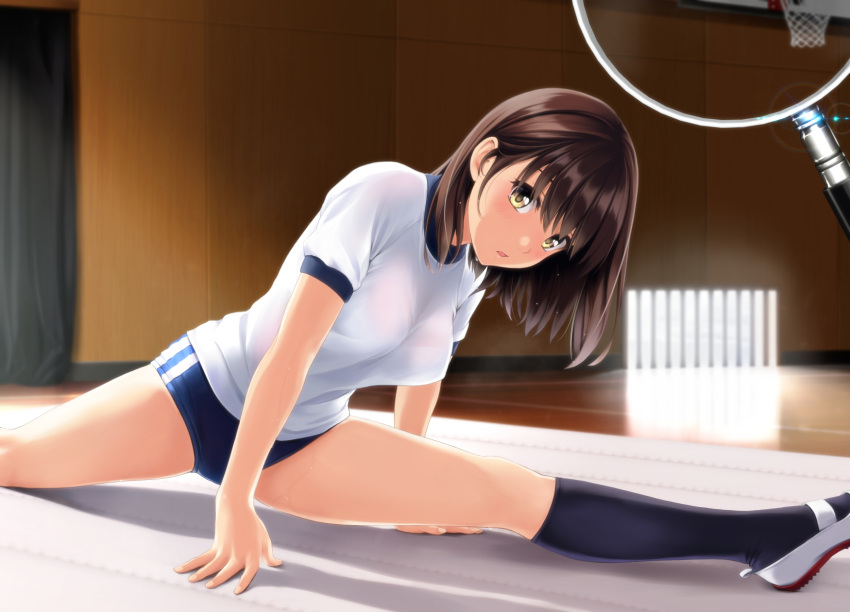 1girl basketball_hoop black_socks blue_butterfly bra bra_visible_through_clothes breasts brown_eyes brown_hair bug butterfly commentary_request gym_shirt gym_uniform highres indoors kneehighs looking_at_viewer magnifying_glass medium_breasts nonaka_ritsu original parted_lips puffy_short_sleeves puffy_sleeves see-through shirt shoes short_sleeves socks solo underwear uwabaki wet wet_clothes wet_shirt white_bra white_footwear