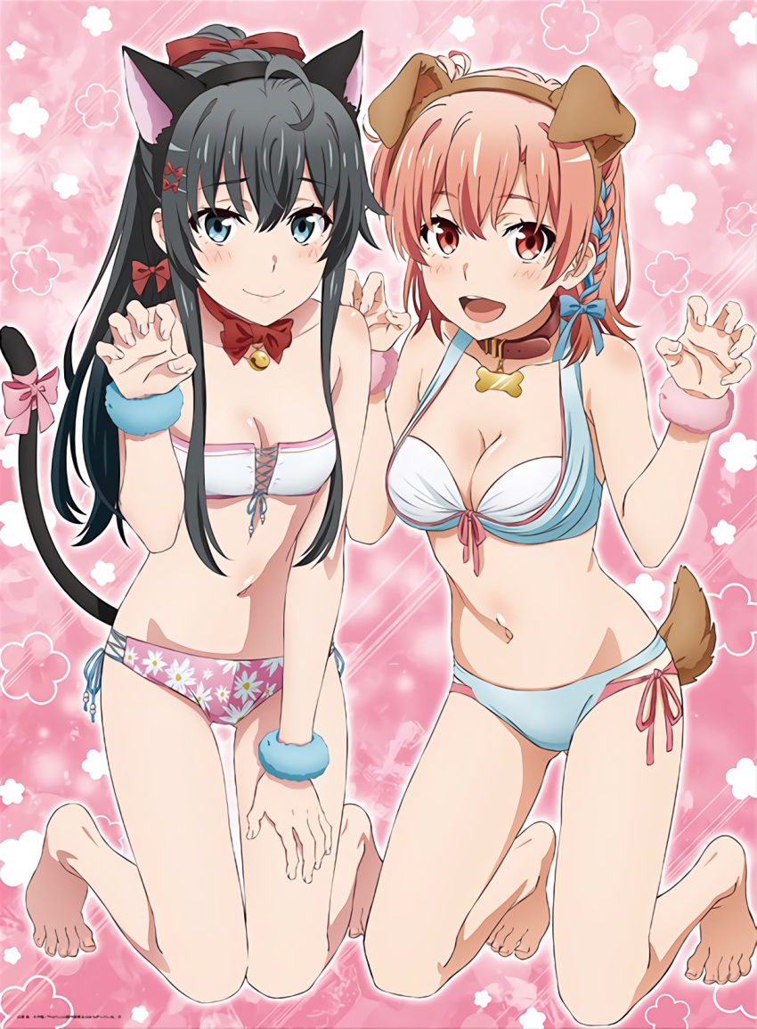 animal_ears bikini cleavage inumimi mitsugi nekomimi swimsuits tail yahari_ore_no_seishun_lovecome_wa_machigatteiru. yuigahama_yui yukinoshita_yukino