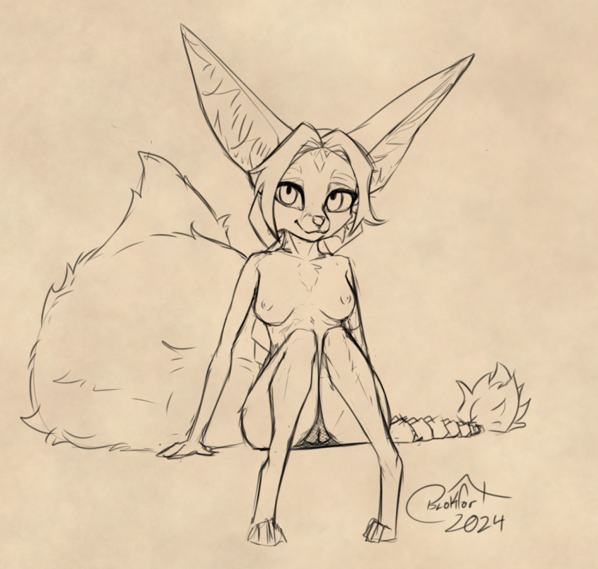 2024 big_ears big_tail blokfort braided_hair breasts canid canine female fennec fox fur genitals hair kalta_(blokfort) looking_at_viewer mammal monochrome nipples nude pussy simple_background sitting sketch smile solo tail