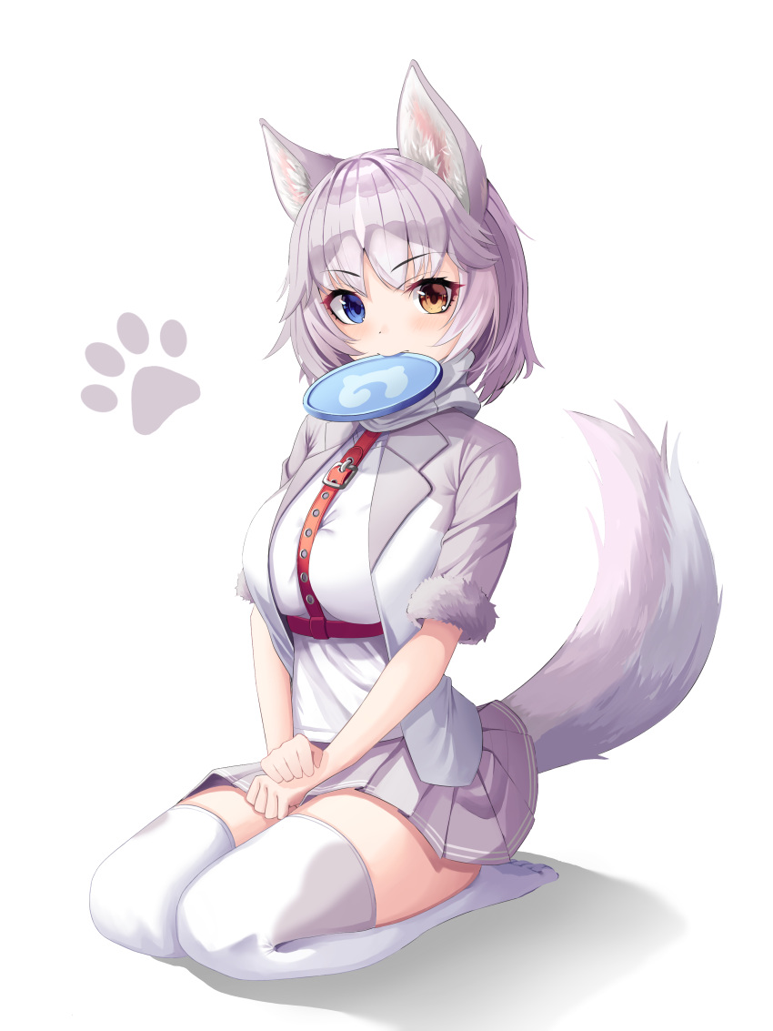 1girl absurdres animal_ear_fluff animal_ears blue_eyes blush breasts chun_bae dog_(mixed_breed)_(kemono_friends) dog_ears dog_girl dog_tail frisbee grey_hair harness heterochromia highres japari_symbol kemono_friends large_breasts looking_at_viewer multicolored_hair short_hair silver_hair simple_background sitting solo tail two-tone_hair white_background white_hair white_legwear yellow_eyes