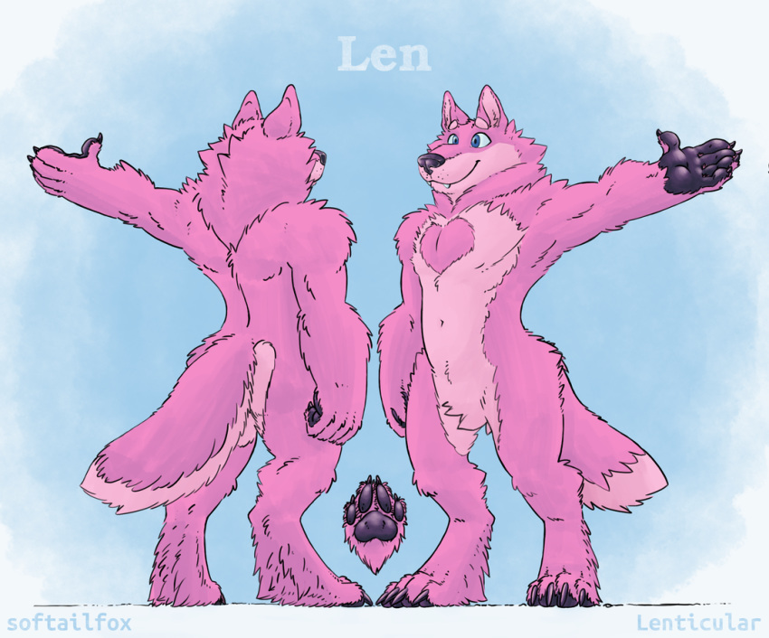 anthro blue_eyes canid canine canis care_wolf commission_art fluffy fluffy_neck_fur fluffy_tail fur male mammal model_sheet muscular muscular_anthro muscular_male neck_tuft pawpads pink_body pink_ears pink_fur purple_nose purple_pawpads softailfox solo tuft wolf