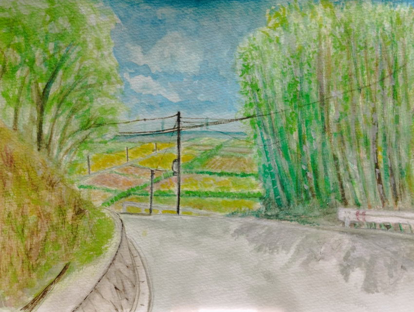 bamboo bamboo_forest blue_sky colored_pencil_(medium) farm forest highres horizon nature original pcpqapfxcw0ky8w power_lines road rural sky sleeveless traditional_media utility_pole