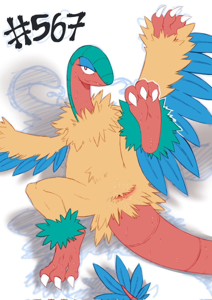 2022 ambiguous_gender animal_genitalia ankle_tuft archeops bedroom_eyes blue_body blue_feathers bodily_fluids cheesoart claws cloaca cloaca_juice curling_toes dinosaur feathered_dinosaur feathers feet feral fossil_pokemon front_view generation_5_pokemon genital_fluids genitals hi_res horizontal_cloaca leg_tuft long_neck looking_at_viewer looking_up lying narrowed_eyes neck_tuft nintendo on_back pokemon pokemon_(species) presenting presenting_cloaca raised_leg reptile scalie seductive simple_background smile snaggle_tooth soles solo spread_legs spreading sweat tail tail_feathers tuft white_background white_claws