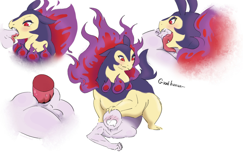 anal anal_penetration ball_lick balls bestiality bulge dominant dominant_feral dominant_male duo fellatio feral generation_2_pokemon generation_8_pokemon genitals hi_res hisuian_form hisuian_typhlosion human human_on_feral humanoid interspecies lavenderscent licking looking_at_another male male/male mammal nintendo oral penetration penile penis penis_lick pokemon pokemon_(species) regional_form_(pokemon) sex submissive submissive_male tongue tongue_wrap unnamed_character