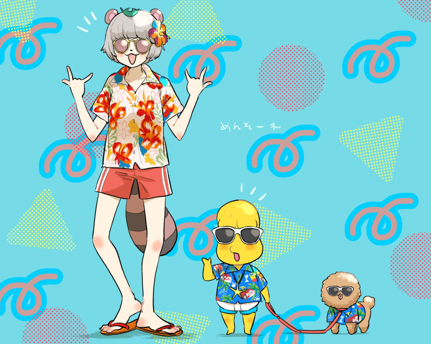 1boy 1girl :3 \m/ alternate_costume animal_ears animal_nose bald barefoot blue_background blue_shirt blue_shorts blush circle colored_skin commentary_request dog facing_viewer flip-flops flower full_body gym_shorts hair_flower hair_ornament hand_up hands_up hawaiian_shirt heel_up height_difference highres holding holding_leash leaf leaf_on_head leash mode_aim no_socks notice_lines ohitori_(o_hitori_sama_1) open_mouth patterned_background peanuts-kun pet_walking ponpoko_(vtuber) raccoon_ears raccoon_girl raccoon_tail red_shorts sandals shirt short_sleeves shorts side-by-side smile standing starfish_pendant sunglasses tail translation_request triangle virtual_youtuber white_shirt yellow_skin