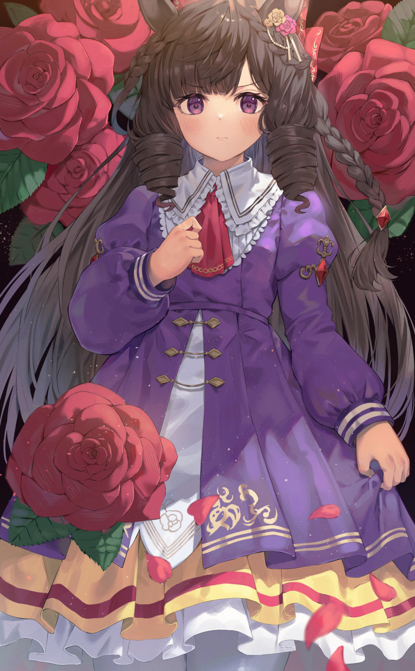 1girl absurdres animal_ears ascot black_hair closed_mouth daiichi_ruby_(umamusume) dress drill_hair flower hair_flower hair_ornament highres horse_ears horse_girl long_sleeves looking_at_viewer petals puffy_long_sleeves puffy_sleeves purple_dress purple_eyes rangen red_ascot red_flower red_rose rose solo twin_drills umamusume