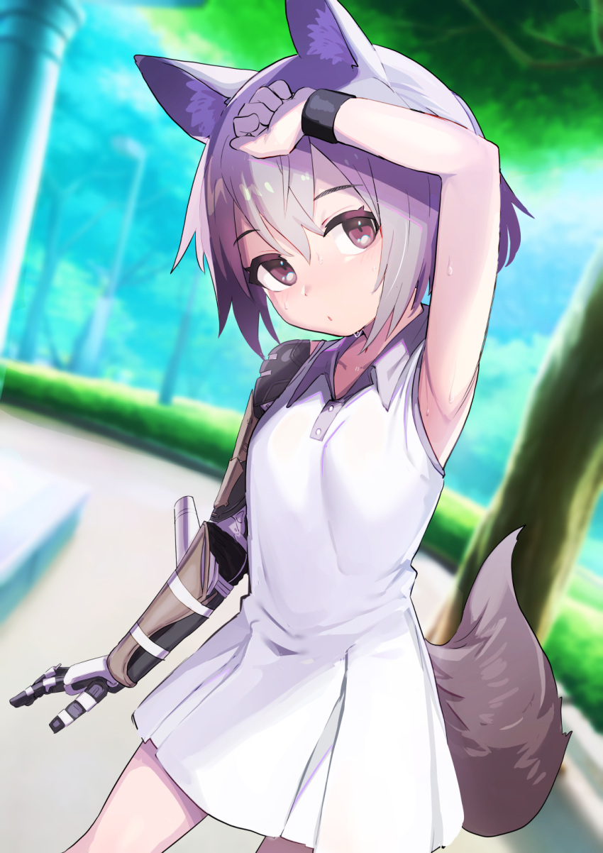 1girl animal_ears arm_up armpits blush borrowed_character breasts day dress expressionless fox_ears fox_girl fox_tail grey_hair highres jaana_kettu lolicom looking_at_viewer mechanical_arms original outdoors prosthesis prosthetic_arm short_hair single_mechanical_arm small_breasts sweat tail white_dress