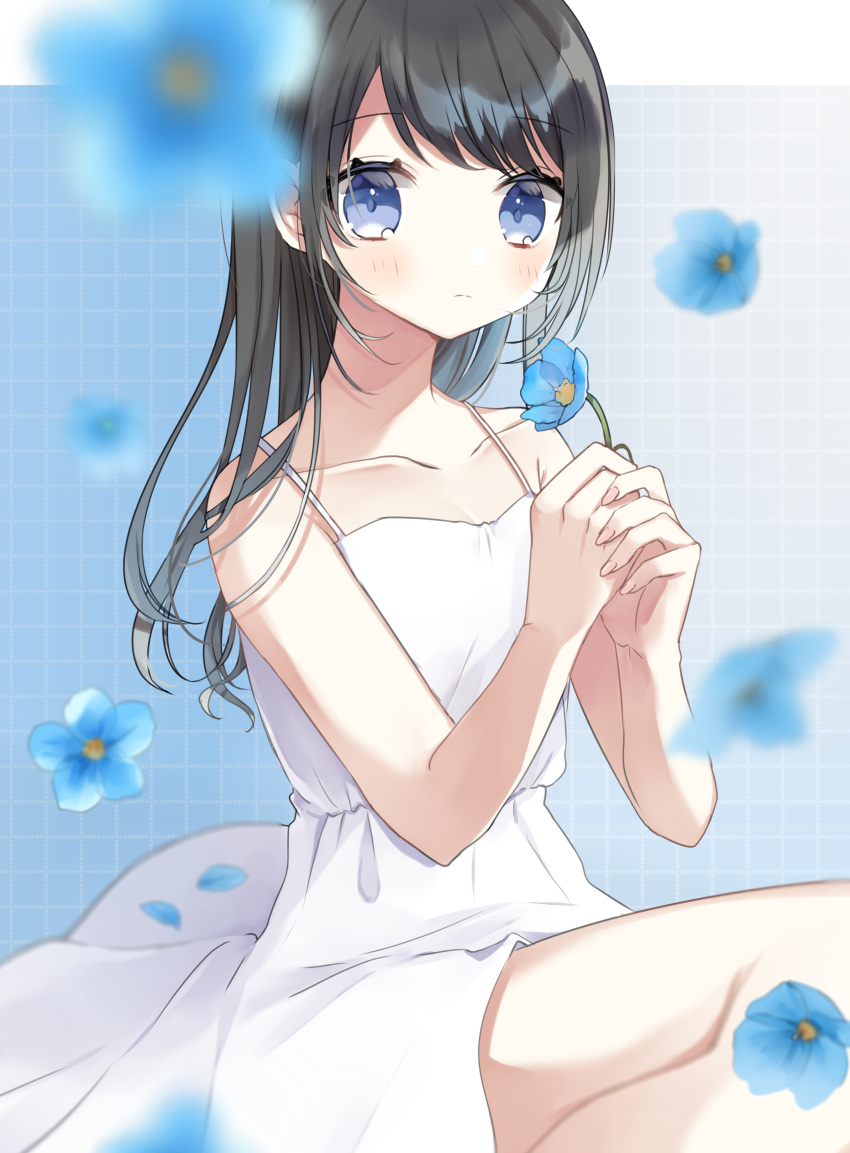 1girl absurdres bare_arms bare_shoulders black_hair blue_background blue_eyes blue_flower blurry blurry_foreground blush breasts cleavage closed_mouth collarbone commentary_request depth_of_field dress flower gradient_background grey_background grid_background hachimitsu_honey highres holding holding_flower long_hair looking_at_viewer original own_hands_together sleeveless sleeveless_dress small_breasts solo white_dress