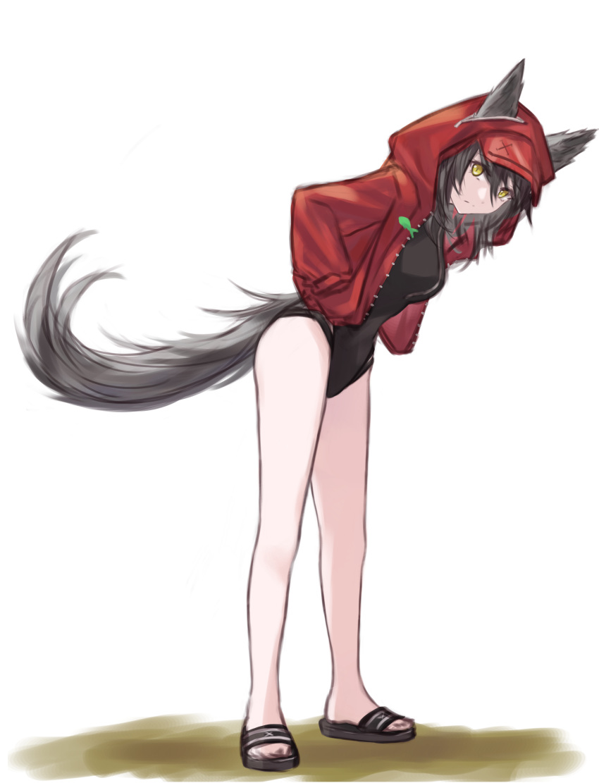 1girl absurdres animal_ears arknights black_footwear black_one-piece_swimsuit breasts commentary_request ears_through_hood grey_hair hair_between_eyes hands_in_pockets highres hood hood_up hooded_jacket jacket kiwicci leaning_forward long_sleeves looking_at_viewer official_alternate_costume one-piece_swimsuit open_clothes open_jacket projekt_red_(arknights) projekt_red_(light_breeze)_(arknights) red_jacket sandals simple_background small_breasts solo swimsuit tail white_background wolf_ears wolf_girl wolf_tail yellow_eyes
