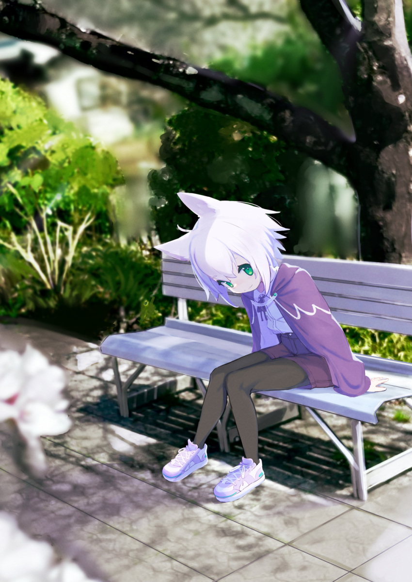 1girl animal_ears bench black_pantyhose cat_ears day full_body green_eyes highres jacket lolicom long_sleeves looking_at_viewer original outdoors pantyhose pantyhose_under_shorts shoes short_hair shorts sitting smile sneakers solo sunlight tree white_hair