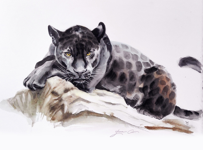 ambiguous_gender felid feral looking_at_viewer lying_on_ground mammal painting_(artwork) pantherine solo spots_(marking) traditional_media_(artwork) watercolor_(artwork) yana_cot yellow_eyes