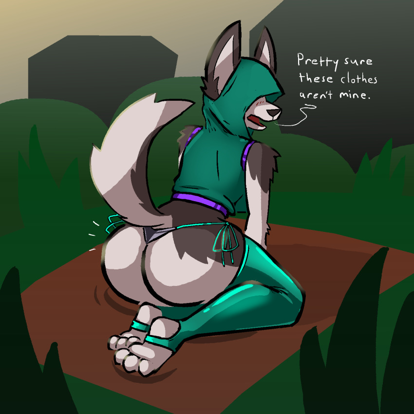1:1 2020 anthro aygee black_nose blush butt canid canine canis clothing curtain_doggo_(photonoko) dialogue domestic_dog english_text female hi_res hooded kneeling legwear mammal open_mouth solo stockings text underwear