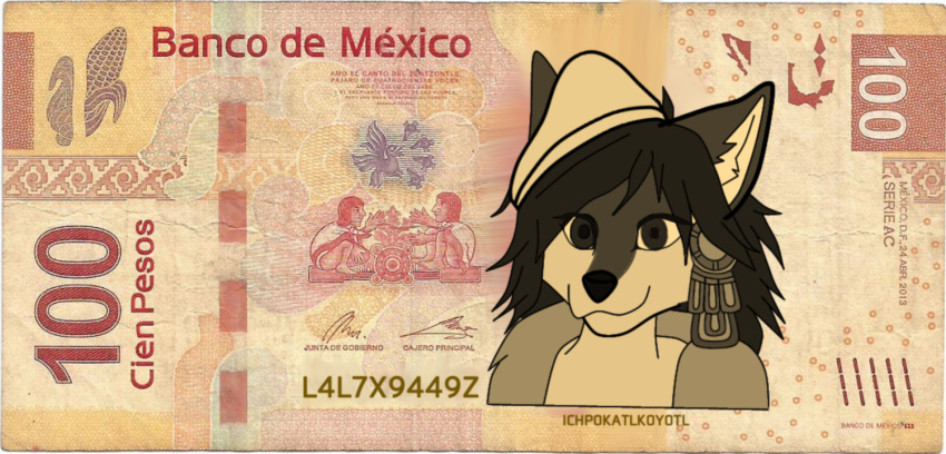 canid canine canis coyote english_text female laluxorroz mammal mexico money solo text