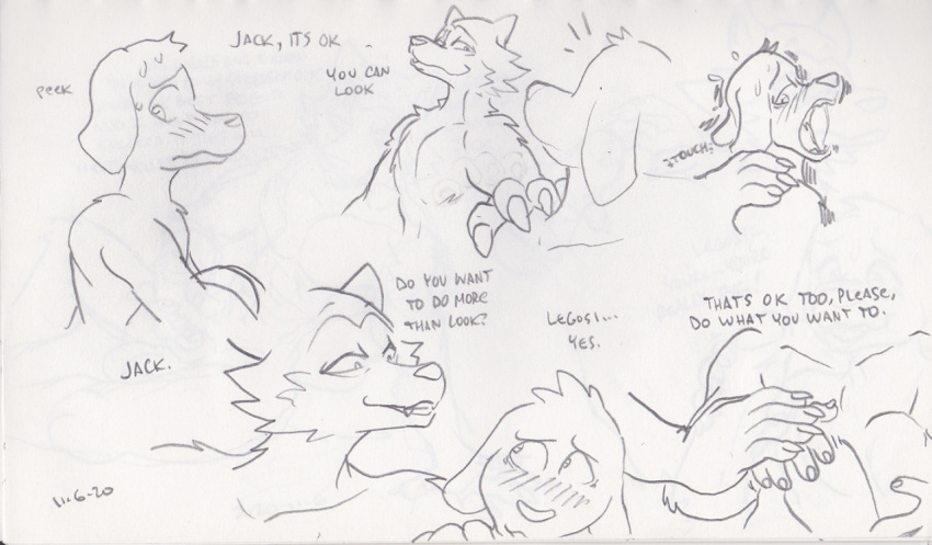 2020 5_fingers anthro beastars bird_dog blush bodily_fluids canid canine canis claws dialogue domestic_dog duo embarrassed english_text eye_contact fingers fur guiding hand_on_shoulder humanoid_hands hunting_dog jack_(beastars) labrador legoshi_(beastars) looking_at_another male male/male mammal nervous nervous_sweat nude open_mouth peeking retriever sketch smile sweat sweatdrop teeth text thebigmansini traditional_media_(artwork) wolf