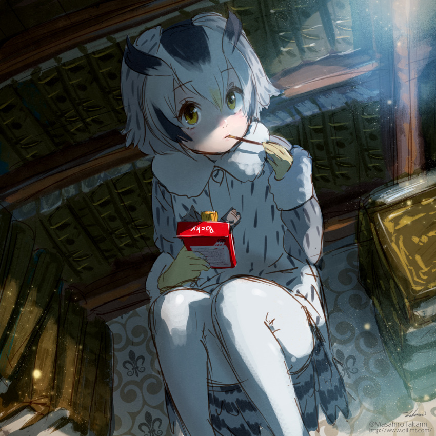 1girl bird_tail black_hair blonde_hair book book_stack bookshelf coat commentary_request eating eyebrows_visible_through_hair food food_in_mouth from_above fur_collar grey_coat grey_hair hair_between_eyes highres indoors kemono_friends knees_up long_sleeves looking_at_viewer looking_up medium_hair multicolored_hair northern_white-faced_owl_(kemono_friends) owl_ears pantyhose pocky sitting sketch solo tail takami_masahiro white_hair yellow_eyes