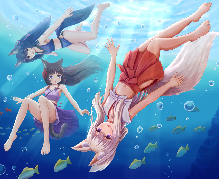 3girls :d absurdres air_bubble animal animal_ear_fluff animal_ears bangs bare_arms bare_legs bare_shoulders barefoot black_hair blue_eyes brown_eyes bubble cat_ears cat_tail commentary_request crop_top day eyebrows_visible_through_hair fish folded_ponytail fox_ears fox_girl fox_tail freediving hair_between_eyes hakama hakama_skirt highres iroha_(iroha_matsurika) japanese_clothes kimono long_hair midriff multiple_girls navel open_mouth original outdoors purple_eyes purple_kimono red_hakama sidelocks silver_hair smile sunlight tail underwater upside-down very_long_hair water