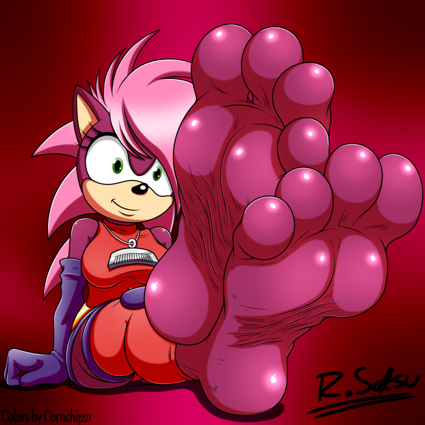 1:1 4_toes anthro barefoot clothed clothing collaboration collar colored_sketch cornchip21 digital_media_(artwork) eulipotyphlan feet female foot_fetish foot_focus fur gloves green_eyes hair handwear hedgehog hi_res humanoid_feet latex_gloves light lighting looking_at_viewer mammal pink_body pink_fur pink_hair screampunk sega signature simple_background sitting smiling_at_viewer soles solo sonia_the_hedgehog sonic_the_hedgehog_(series) sonic_underground spiky_hair toes video_games wrinkled_feet