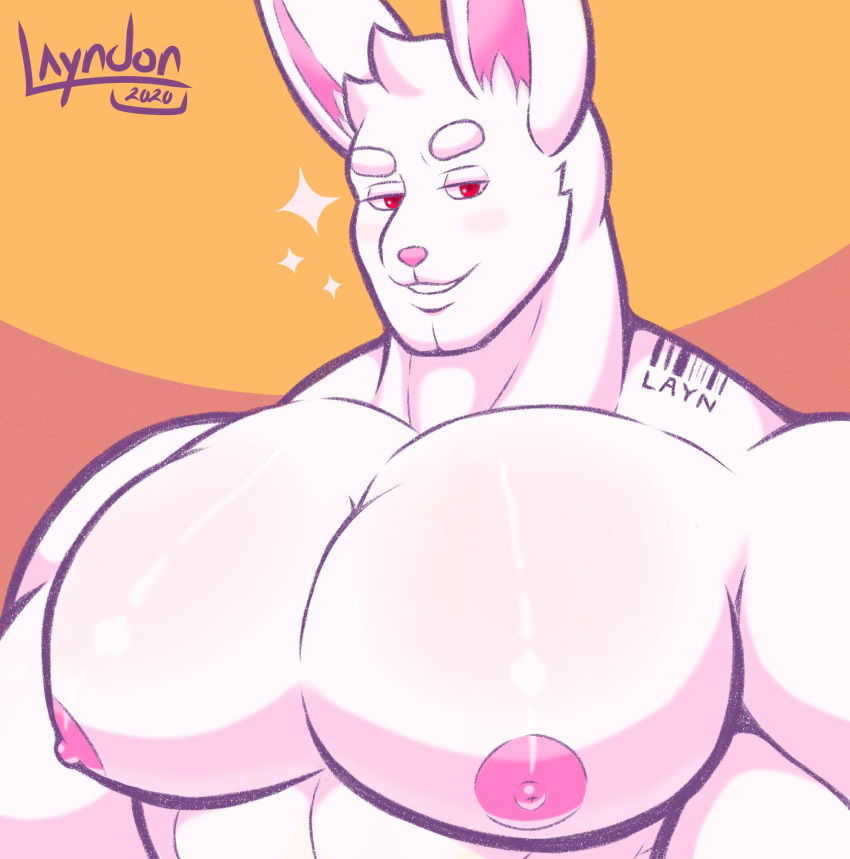 anthro big_pecs bust_portrait eyebrows fur glistening glistening_body glistening_skin hare hi_res lagomorph layndon layndon_(layndon) leporid male mammal muscular muscular_anthro muscular_male nipples orange_background pecs pink_nipples portrait rabbit red_eyes shaded simple_background smile smirk soft_shading solo sparkles tattoo thick_eyebrows white_body white_fur