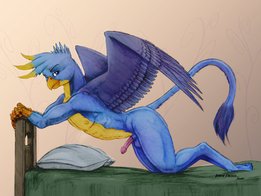 anthro avian baron_engel beak bed bedding blanket blue_body blue_feathers claws color_edit colored edit eyebrows feathered_wings feathers fingers furniture gallus_(mlp) genitals gryphon hasbro long_tail lying male my_little_pony mythological_avian mythology naughty_face penis pillow smile smirk tan_body tan_feathers wings