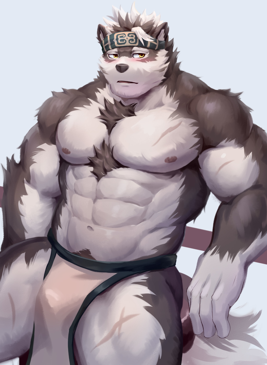 5_fingers absurd_res accessory anthro big_muscles black_nose blush bulge canid canine canis chest_tuft clothed clothing fingers fur grey_body grey_fur headband hi_res horkeukamui humanoid_hands loincloth male mammal multicolored_body multicolored_fur muscular muscular_anthro muscular_male physen scar sitting solo tokyo_afterschool_summoners topless tuft two_tone_body two_tone_fur video_games white_body white_fur wolf yellow_eyes