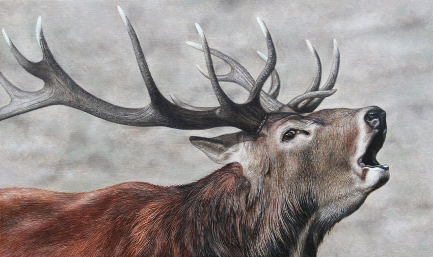 2013 antlers black_nose brown_body brown_eyes brown_fur cervid cervine feral fur horn male mammal oil_painting_(artwork) open_mouth painterman33 painting_(artwork) realistic red_deer simple_background solo textured_background traditional_media_(artwork)