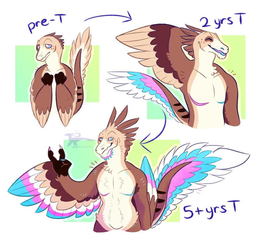 2020 anthro beard dinosaur dromaeosaurid english_text facial_hair feather_beard feathers ftm_transformation gender_transformation gesture hi_res itstvraptor lgbt_pride male male_(lore) microraptor pride_colors reptile scalie sequence sexual_dimorphism simple_background solo text theropod trans_(lore) transformation transgender_pride_colors v_sign winged_arms wings