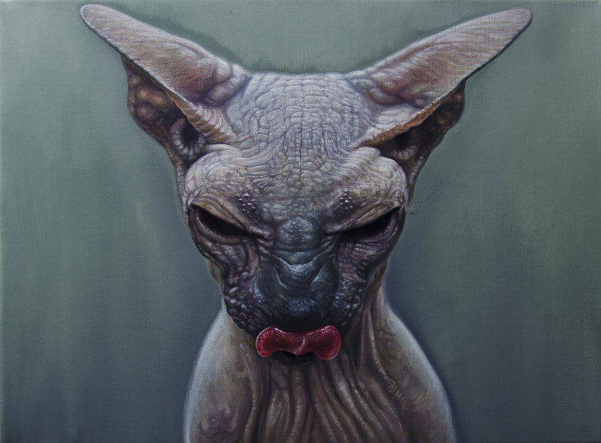 ambiguous_gender feral fleshgoredon hi_res oil_painting_(artwork) painting_(artwork) pink_body pink_skin realistic solo sphinx_cat tongue tongue_out traditional_media_(artwork)