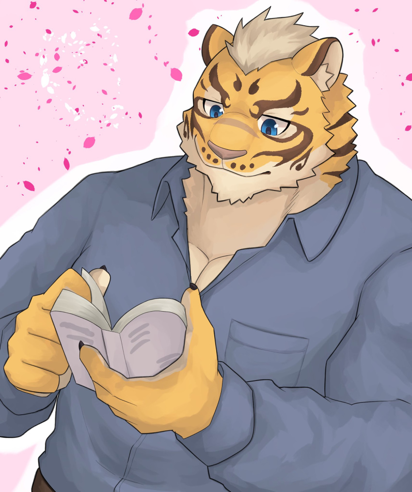 animal_humanoid bbrt534 clothing father felid felid_humanoid hi_res humanoid lin_hu mammal mammal_humanoid nekojishi pantherine pantherine_humanoid parent pink_background reading reading_book shirt simple_background tiger_humanoid topwear