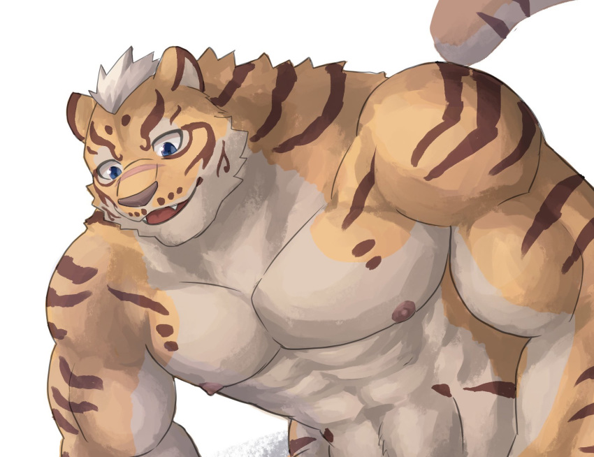 animal_humanoid bbrt534 clothed clothing felid felid_humanoid hi_res humanoid lin_hu looking_down male mammal mammal_humanoid nekojishi pantherine pantherine_humanoid simple_background solo tiger_humanoid topless white_background