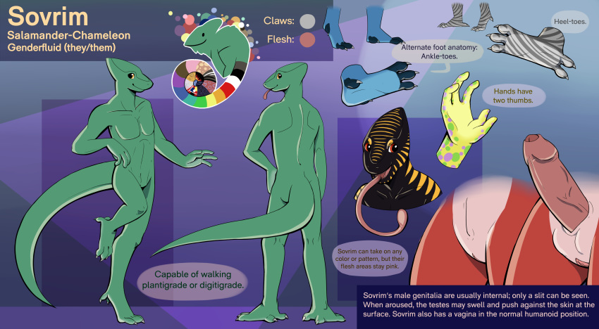 2017 5_fingers absurd_res amphibian animal_genitalia anthro blep chameleon english_text feet fingers flat_colors genital_slit genitals herm hi_res humanoid_genitalia humanoid_penis humanoid_pussy hybrid internal_balls intersex klippy lizard long_tongue model_sheet multicolored_body multicolored_skin nonbinary_(lore) nude penis pink_tongue pussy reptile salamander_(amphibian) scalie slit solo sovrim_terraquian text tongue tongue_out