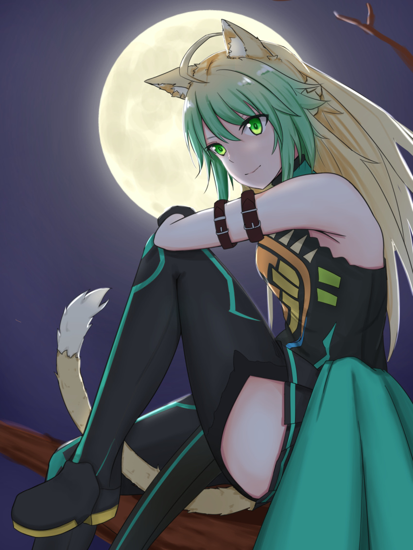 1girl ahoge animal_ear_fluff animal_ears atalanta_(fate) bare_shoulders black_gloves blonde_hair boots braid cat_ears cat_tail crown_braid fate/apocrypha fate_(series) from_side full_body gloves green_eyes green_hair hair_between_eyes highres in_tree knee_to_chest long_hair looking_at_viewer multicolored_hair naliliko sitting sitting_in_tree smile solo tail thigh_boots thighhighs thighs tree