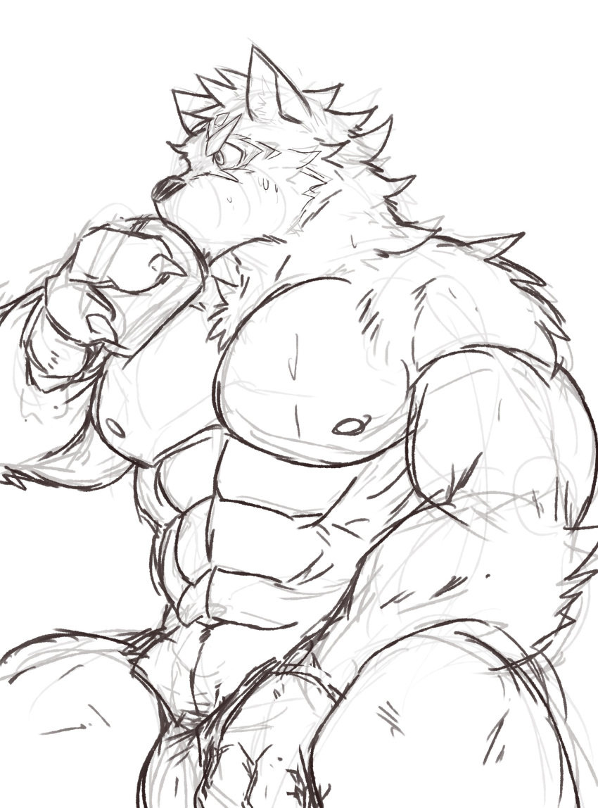 absurd_res anthro barrel_(live-a-hero) canid canine canis drinking flaccid genitals hi_res inuyama_kensin live-a-hero male mammal muscular muscular_anthro muscular_male nipples pecs penis penis_base sketch solo wolf