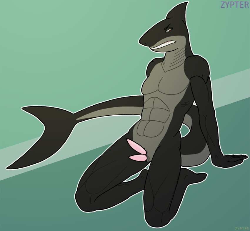 2019 abs anthro athletic athletic_anthro athletic_male big_tail black_body black_scales digital_media_(artwork) dorsal_fin erection fin fish genitals gills great_white_shark grey_body grey_scales hi_res kneeling lamnid lamniform looking_back lying_on_hands male marine multi_genitalia multi_penis nude penis pinup pose saha(zypter) scales shark simple_background solo tail_fin teeth zypter