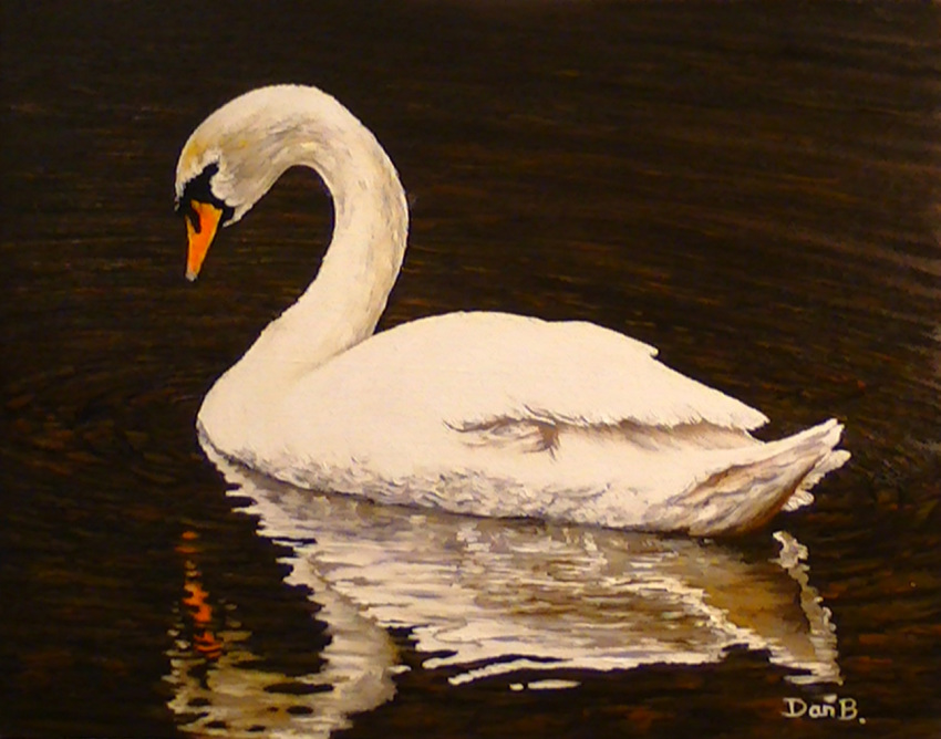 ambiguous_gender anatid anseriform anserinae avian bird danburgesstheartist feral oil_painting_(artwork) painting_(artwork) partially_submerged photorealism solo swan traditional_media_(artwork) water